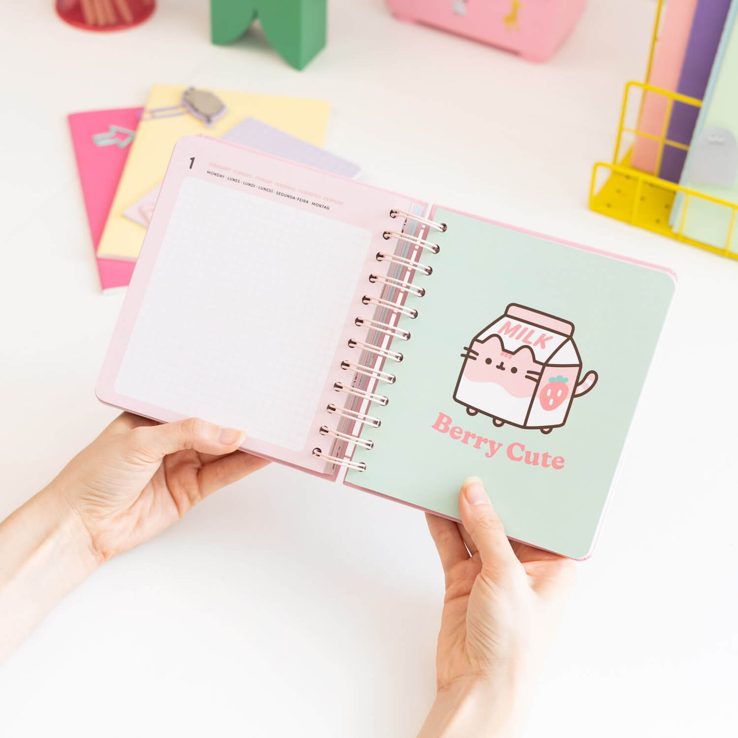 Agenda Escolar 2026/2027 Pusheen Día Página 11 Meses