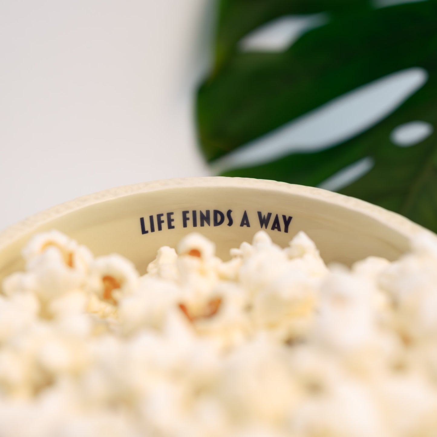 Bowl 3D Jurassic Park