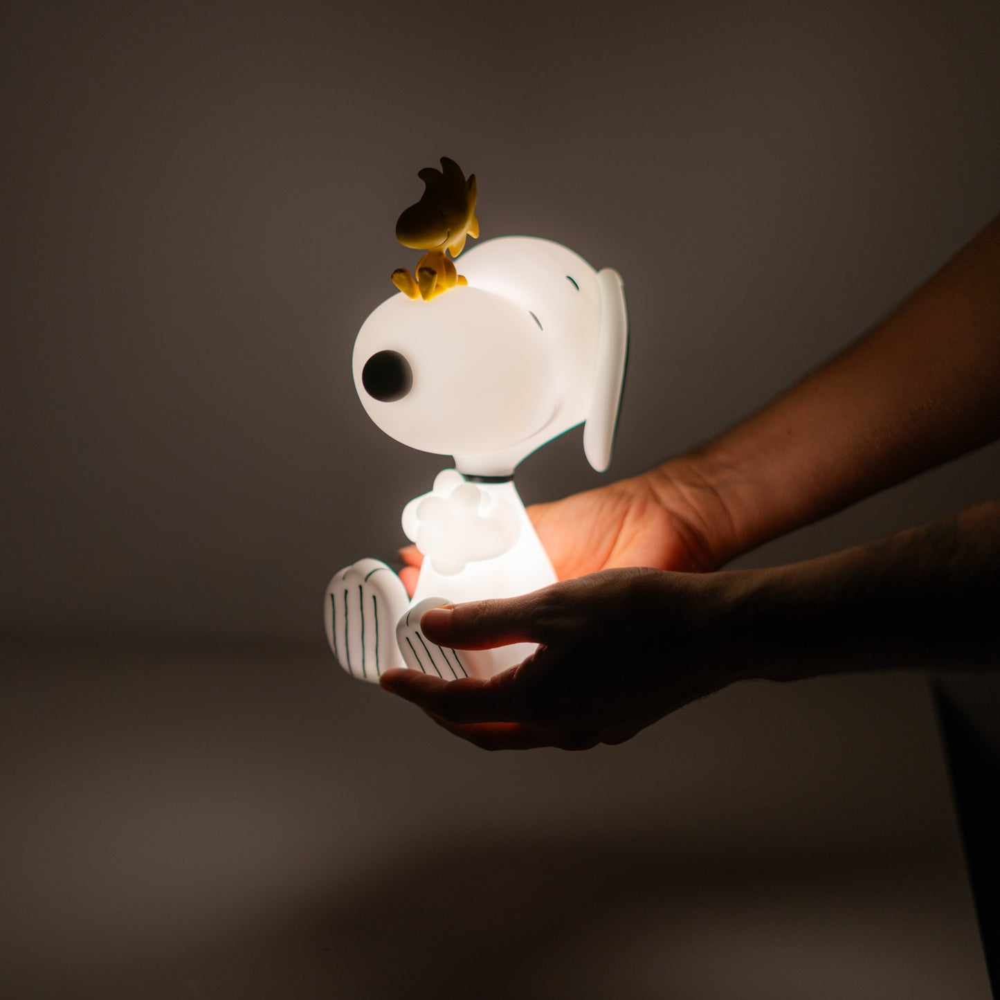 Lampara Snoopy 3D