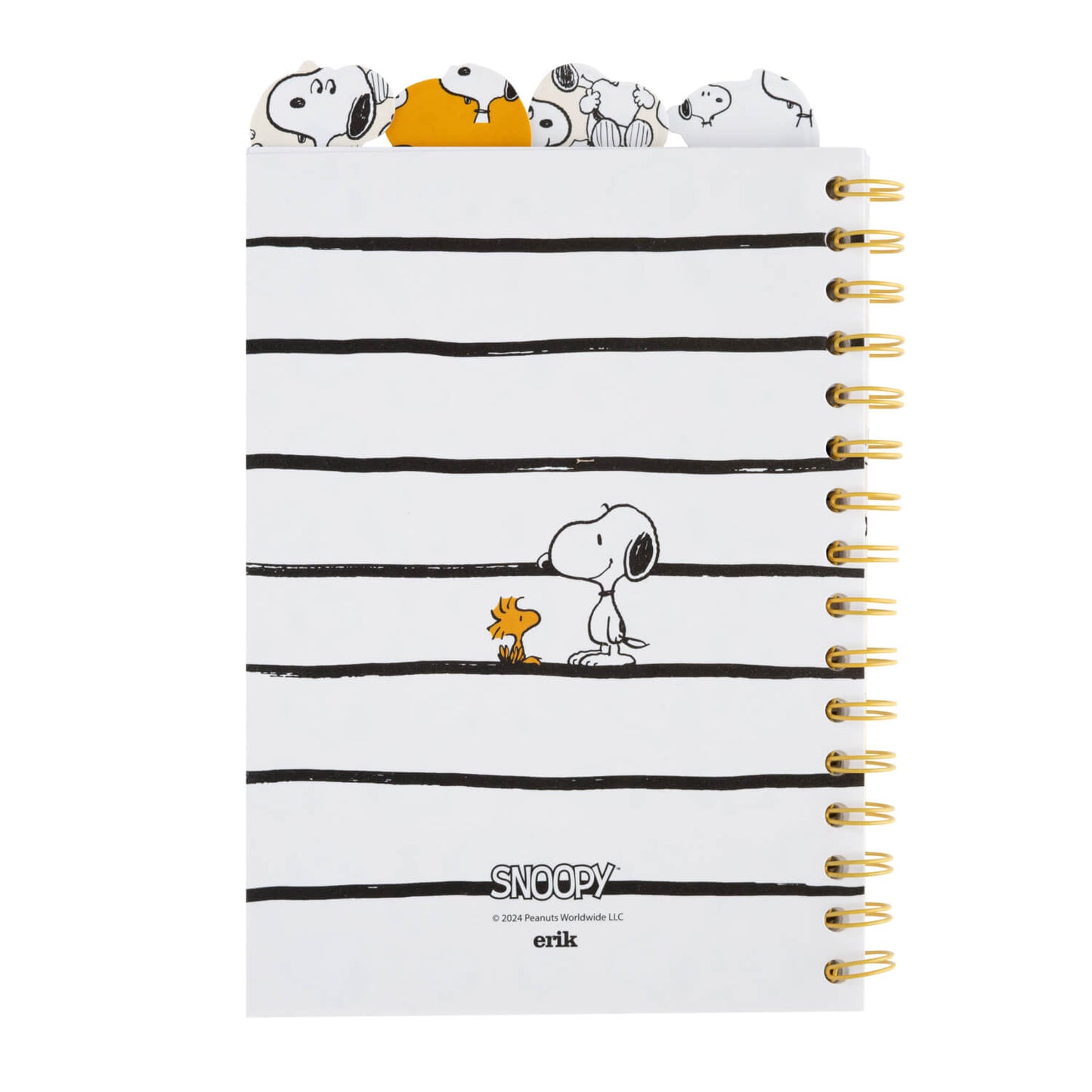 Project Notebook Snoopy Lazy Days