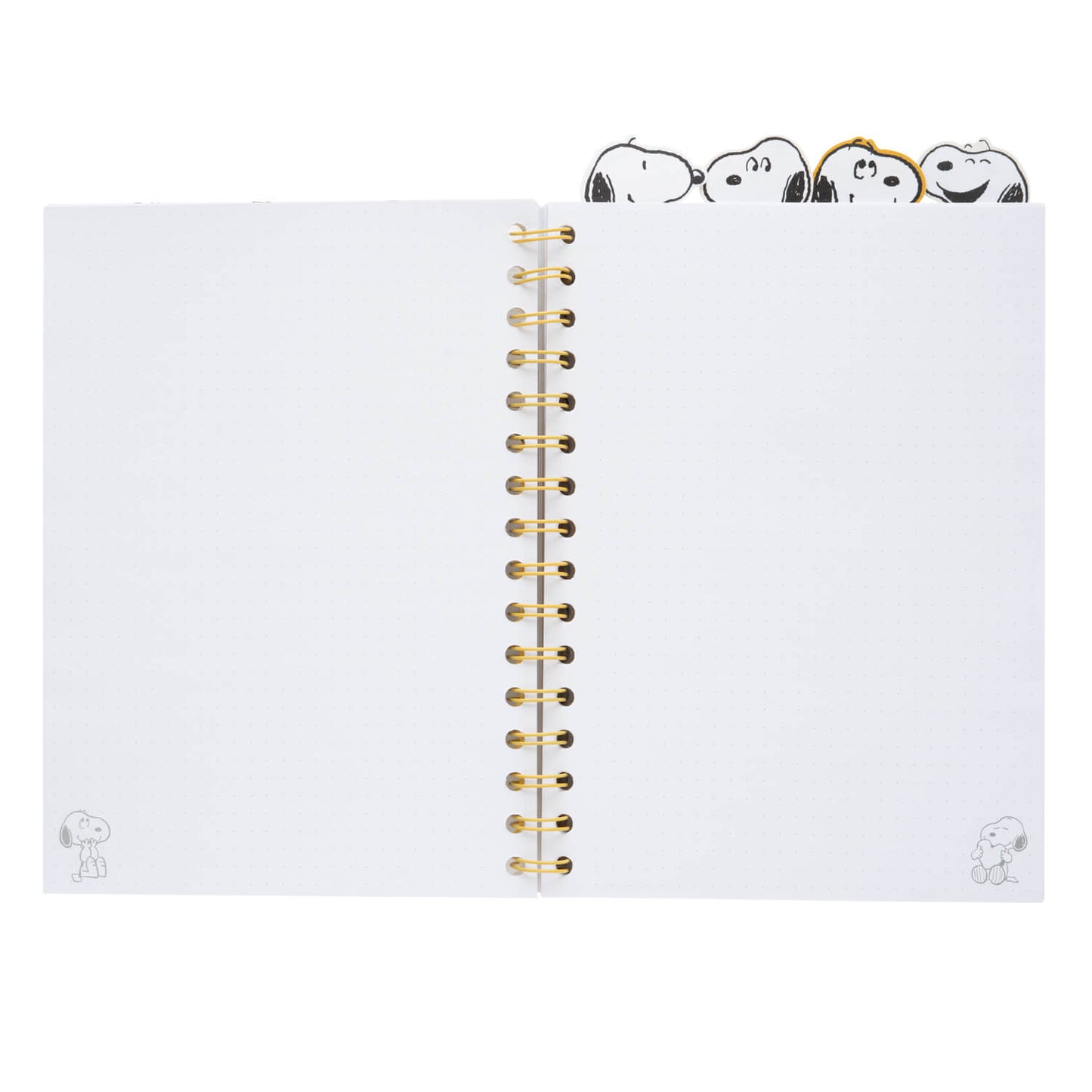 Project Notebook Snoopy Lazy Days