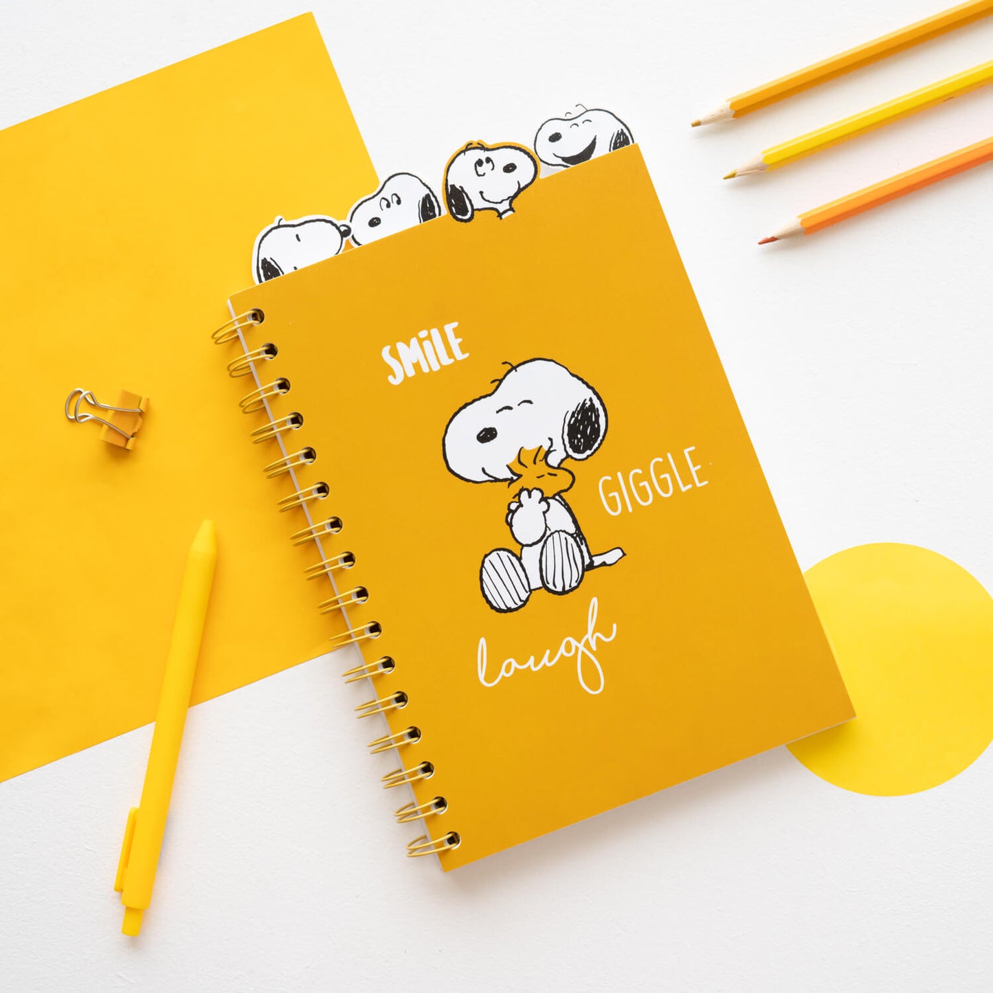 Project Notebook Snoopy Lazy Days