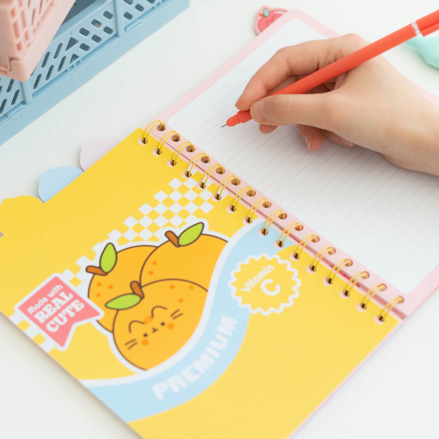 Project Notebook Pusheen Fruits