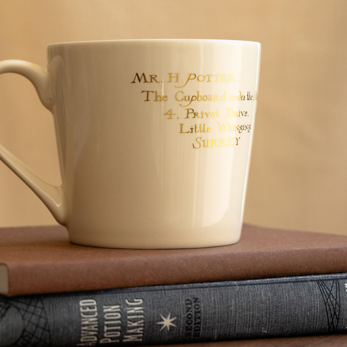 Taza Harry Potter Hedwig