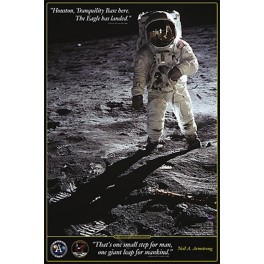 Poster Caminata en la Luna