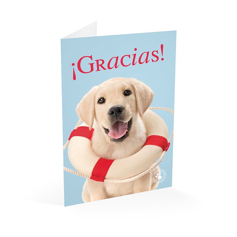 Tarjeta Felicitacion Studio Pets Labrador Gracias