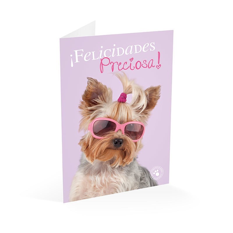 Tarjeta Felicitacion A4 Studio Pets Perro Felicidades Preciosa