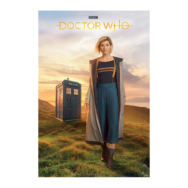 Poster Doctor Who Doctor Nº13