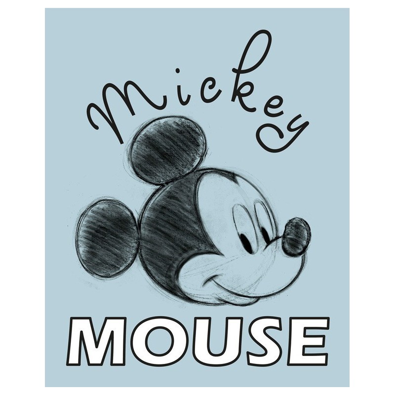 Canvas 20X25 Cm Disney Mickey Mouse