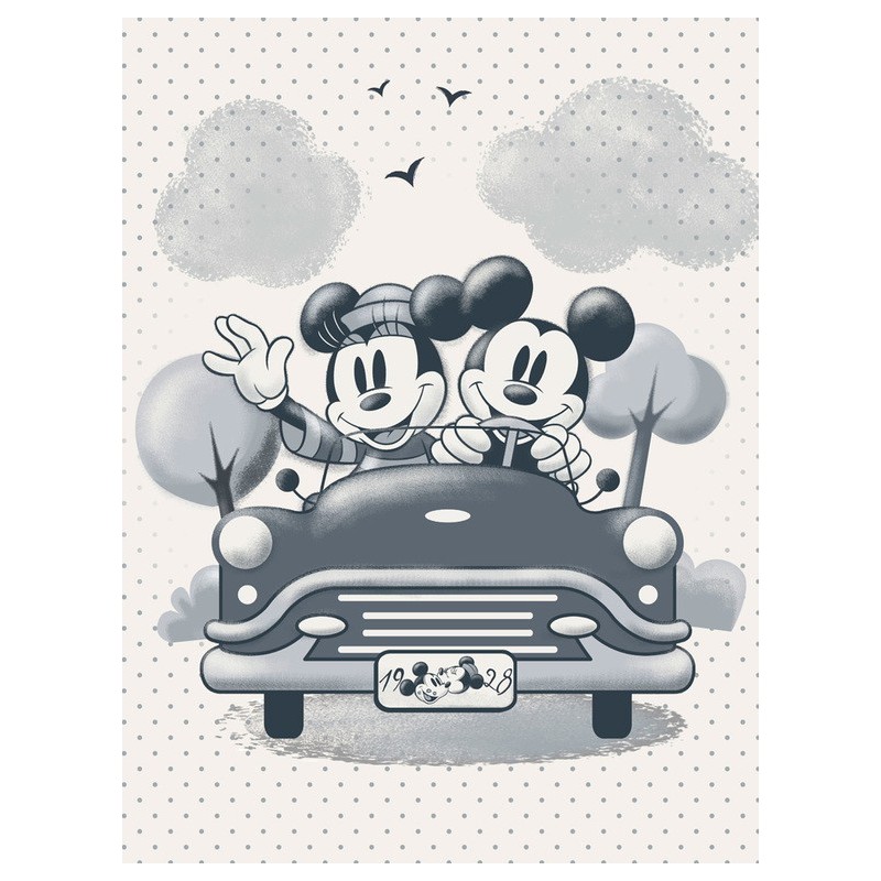Canvas 30X40 Cm Disney Mickey & Minnie Travel