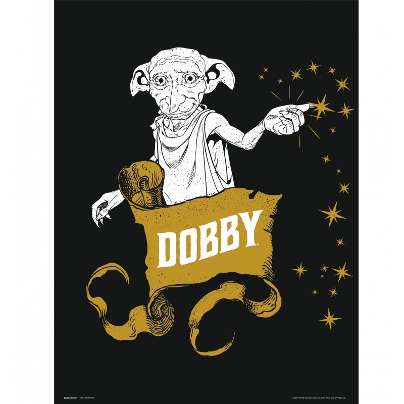Print Harry Potter Dobby 30X40 Cm