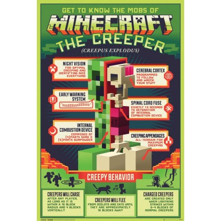 Poster Minecraft Creepy Behaivor
