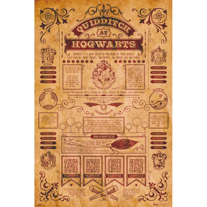 Poster Harry Potter Quidditch At Hogwarts
