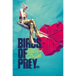 Poster Grande Birds Of Prey...