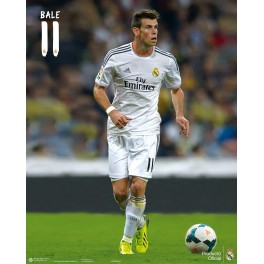 Miniposter Bale 2013-14