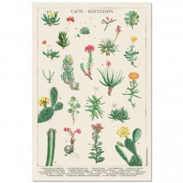 Poster Botanical Cactus