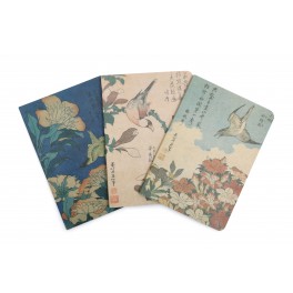 Set Cuadernos Blossom