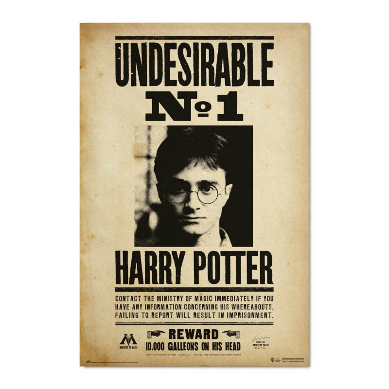 Poster Harry Potter Indeseable Numero 1