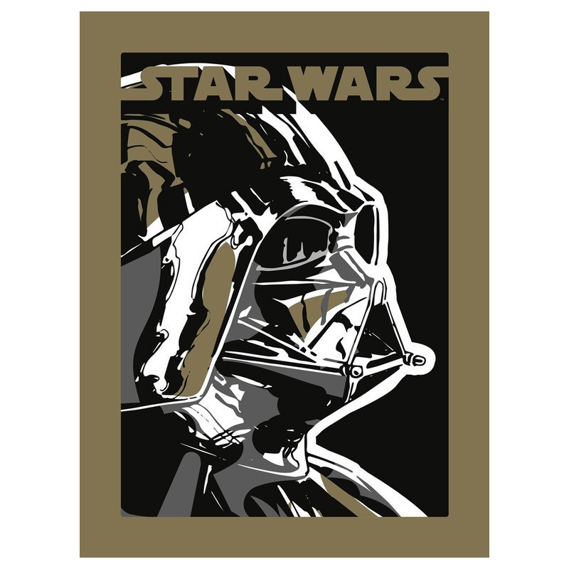 Print Star Wars Darth Vader 30X40 Cm