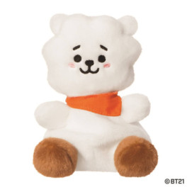 Peluche Bt21 RJ Palm Pal 13 Cm