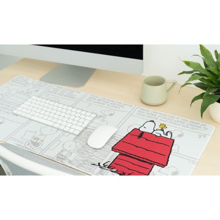 Pack Regalo Snoopy Escritorio