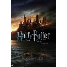 Poster Harry Potter Y Las...