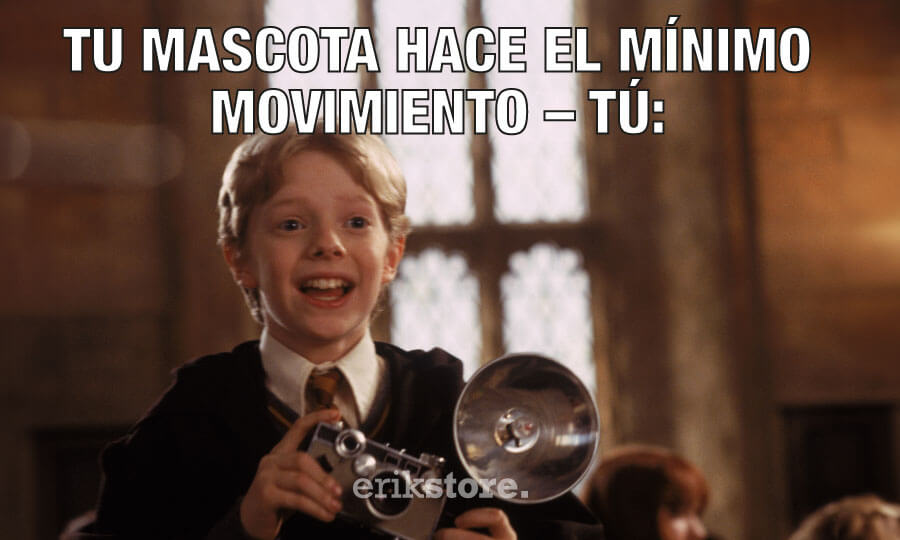 BannerBlog_MEMES_HARRYPOTTER_11 meme harry potter