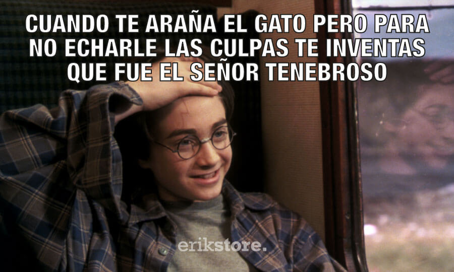 BannerBlog_MEMES_HARRYPOTTER_19 meme harry potter