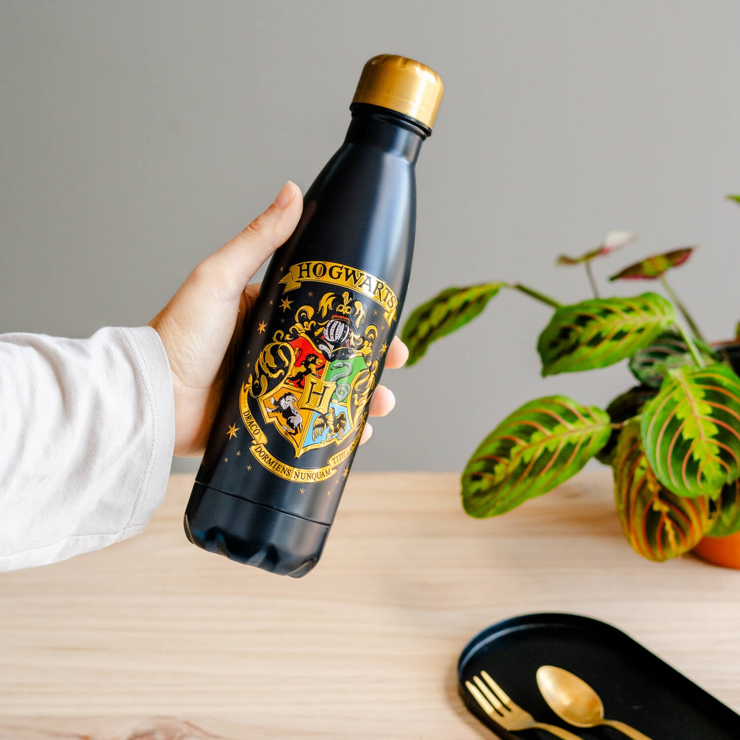 Botella Metálica Harry Potter Hogwarts