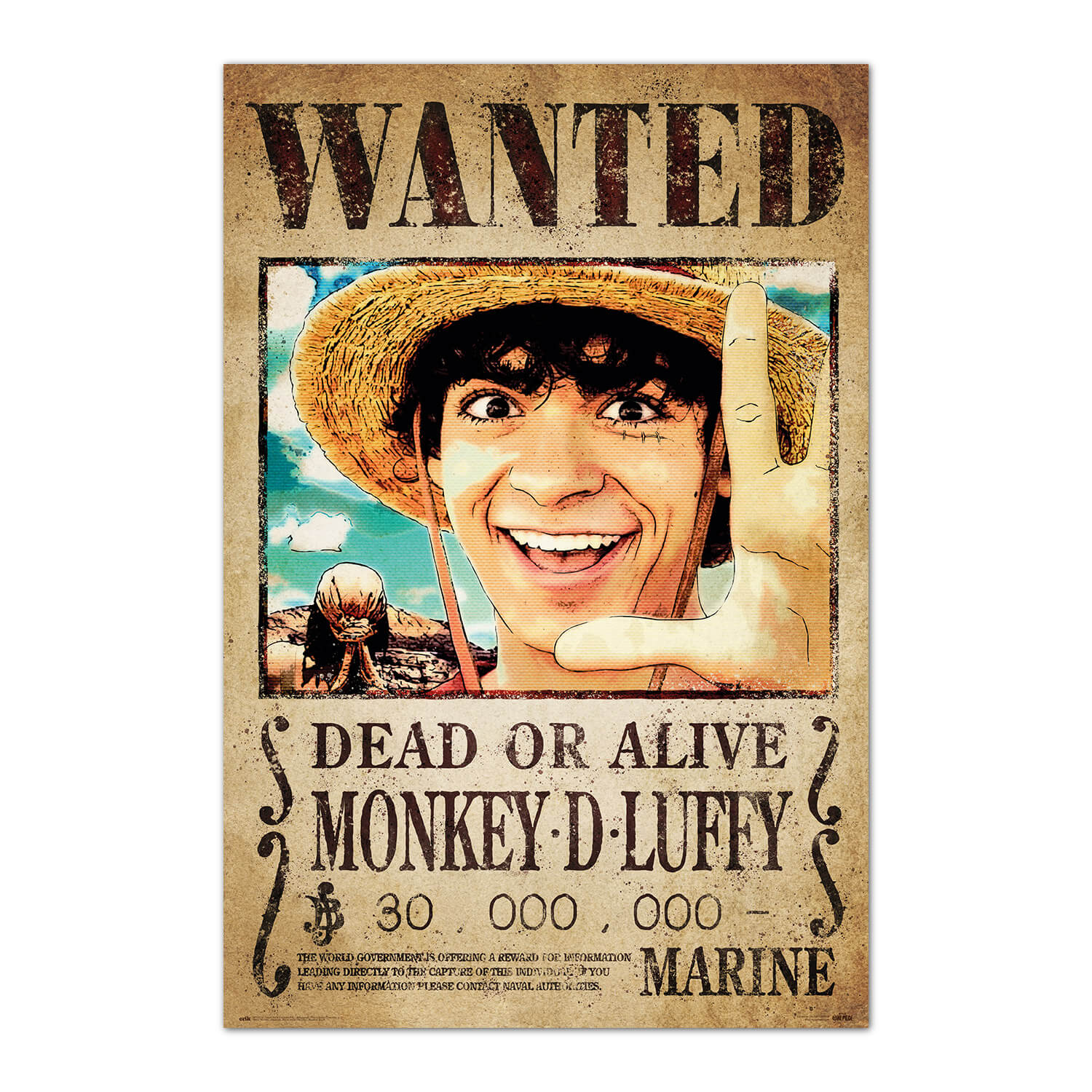 Poster One Piece Wanted Monkey D. Luffy