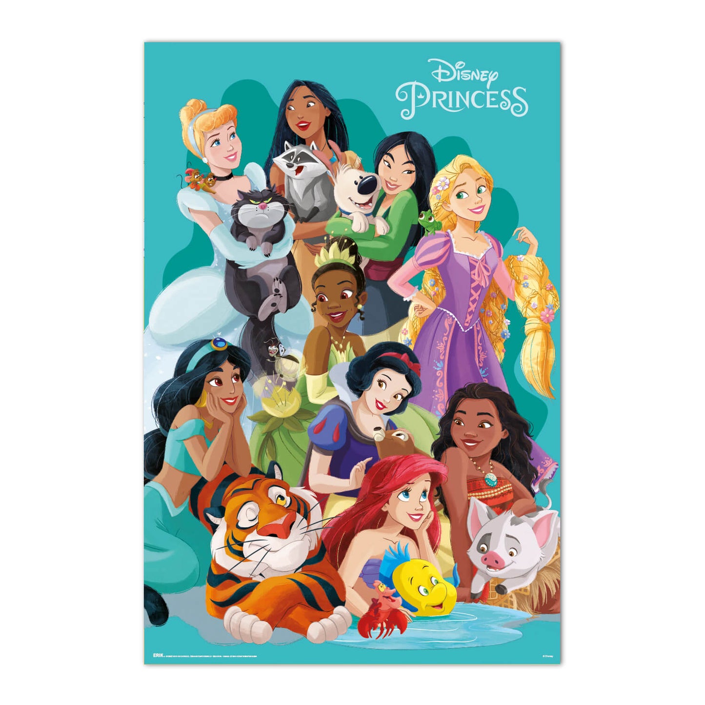 Poster Princesas Disney Y Mascotas