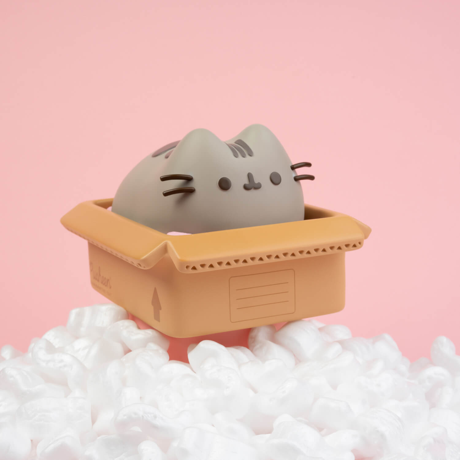 Hucha Pusheen