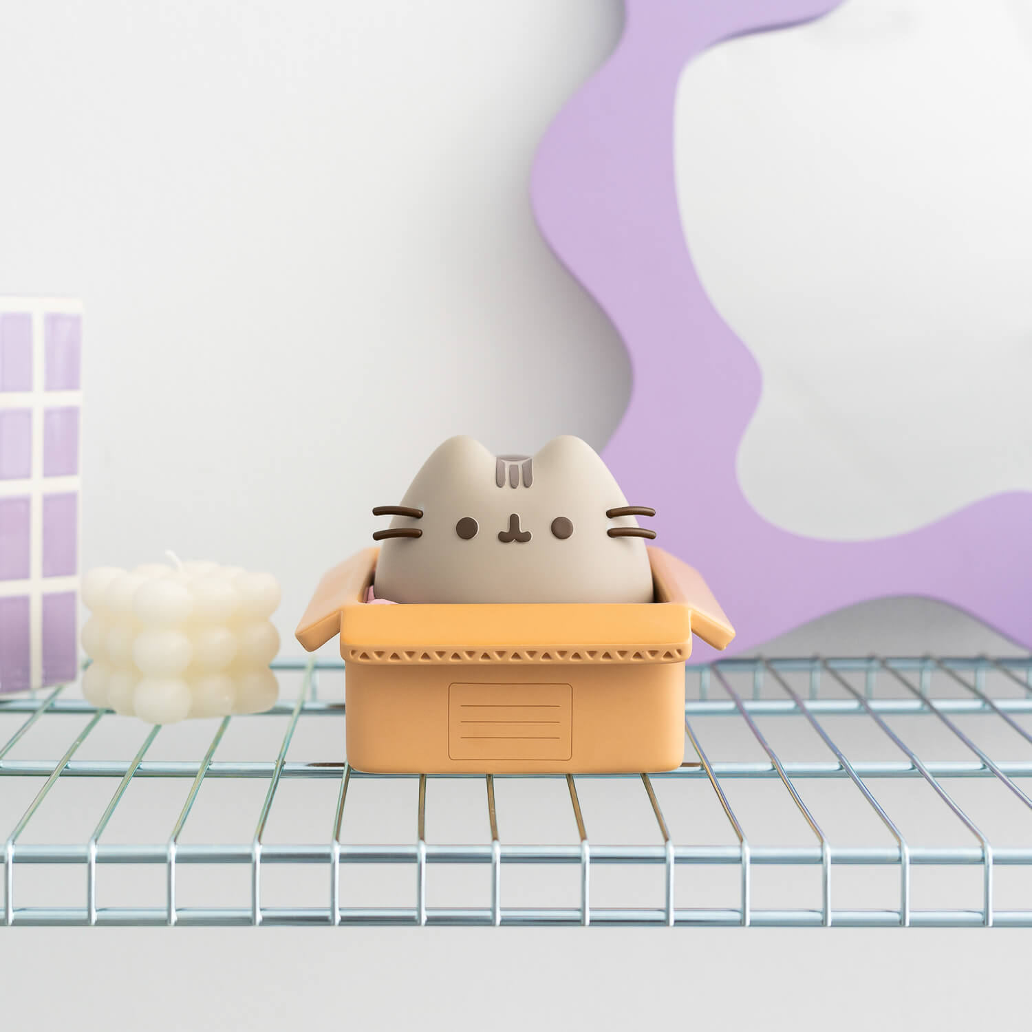 Hucha Pusheen