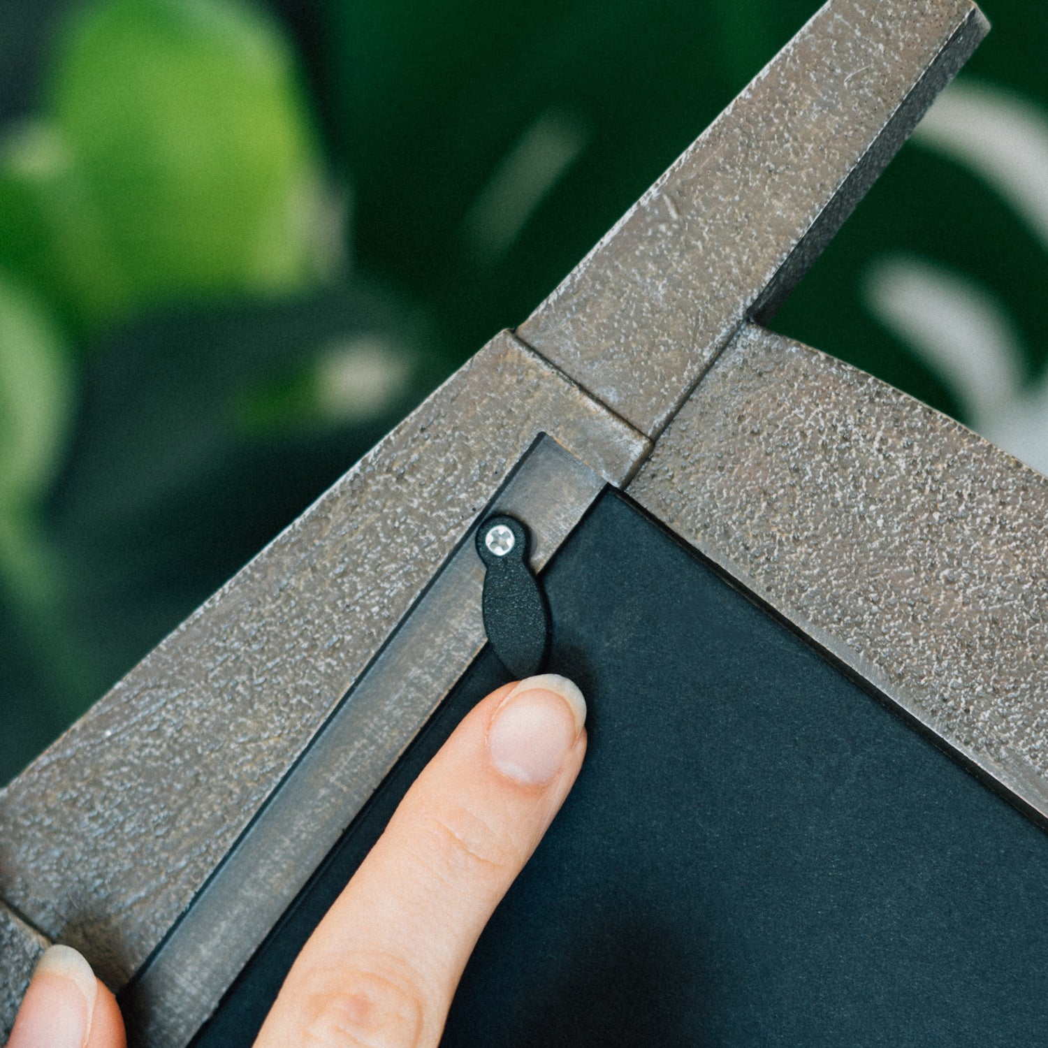 Marco De Fotos Jurassic Park Puerta De Entrada