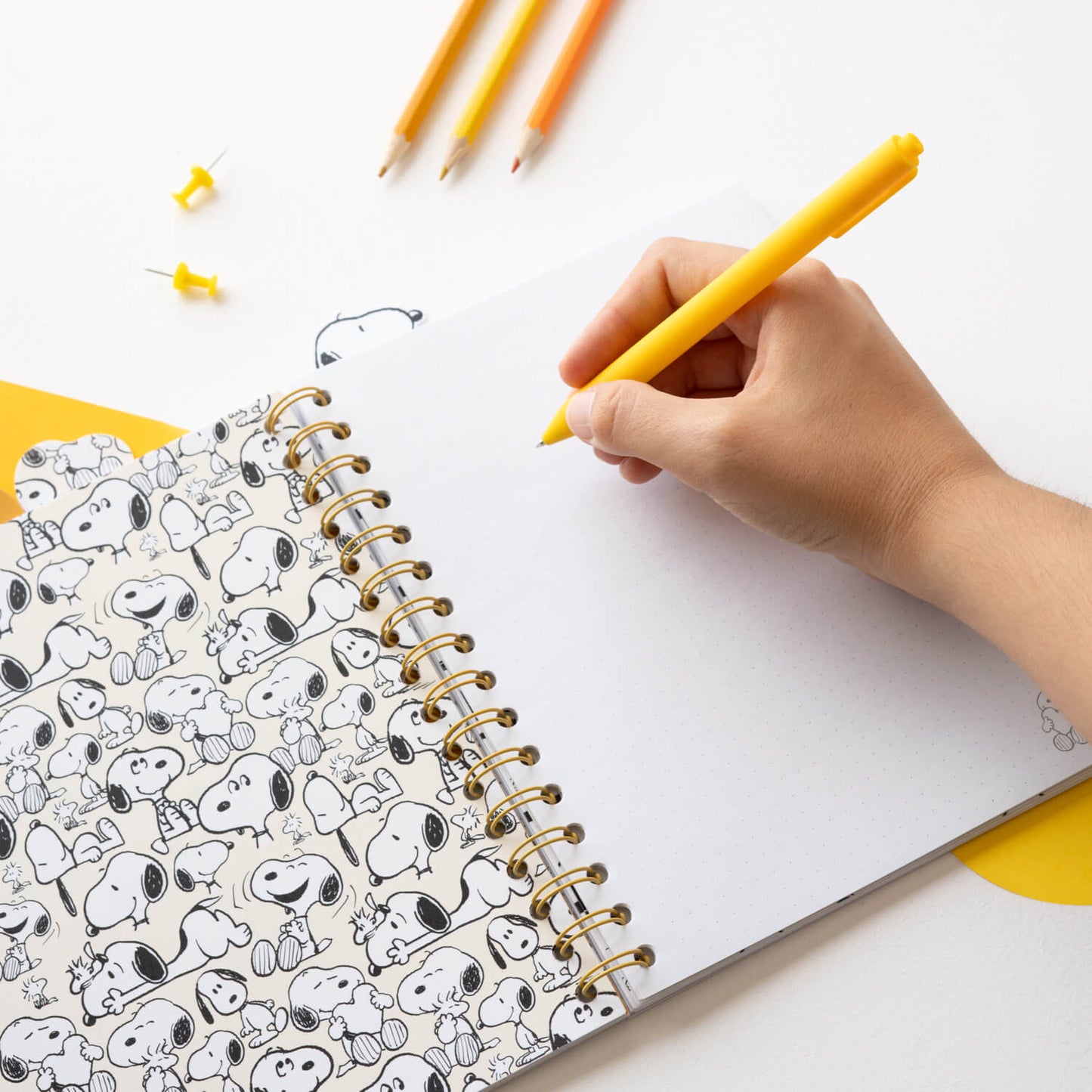 Project Notebook Snoopy Lazy Days