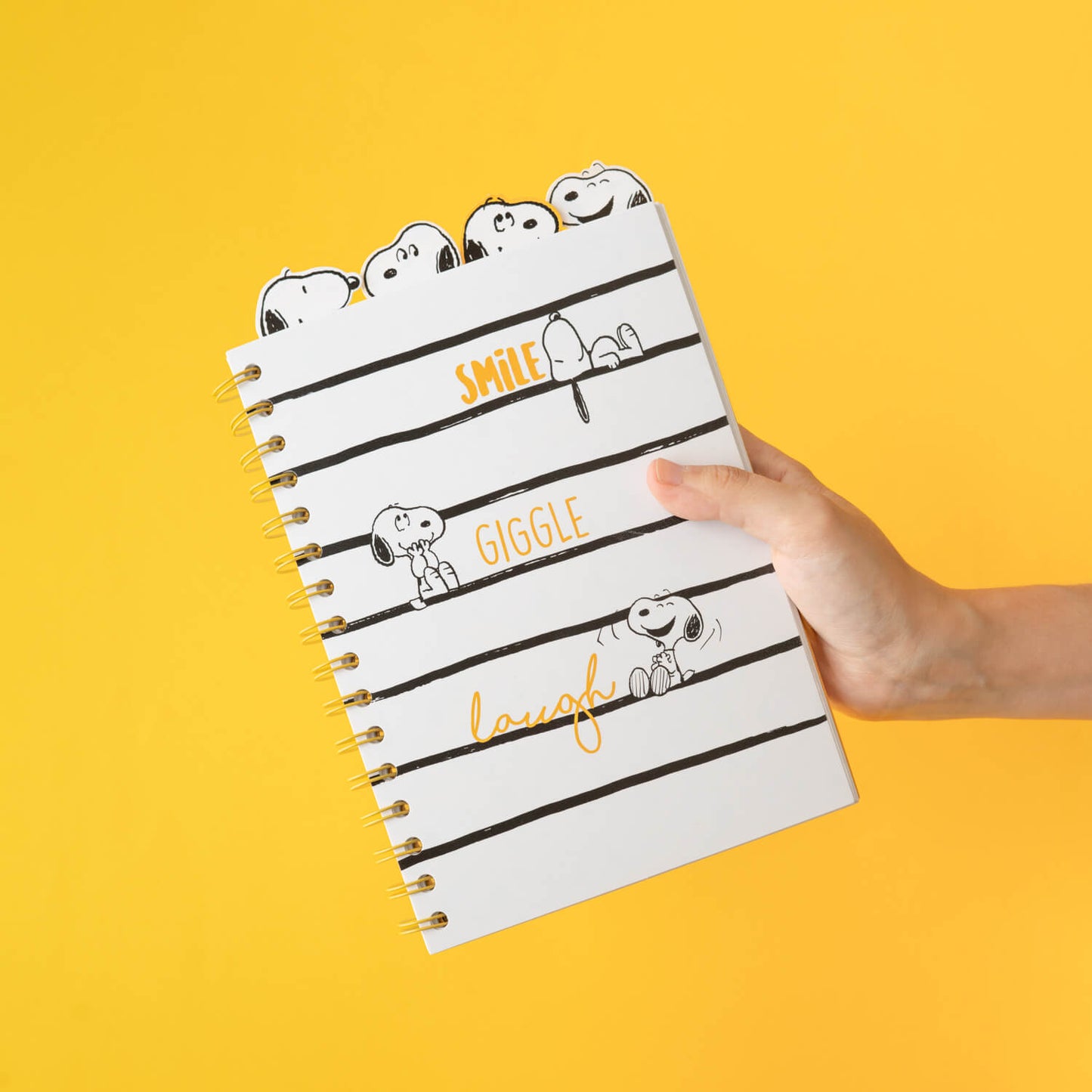 Project Notebook Snoopy Lazy Days