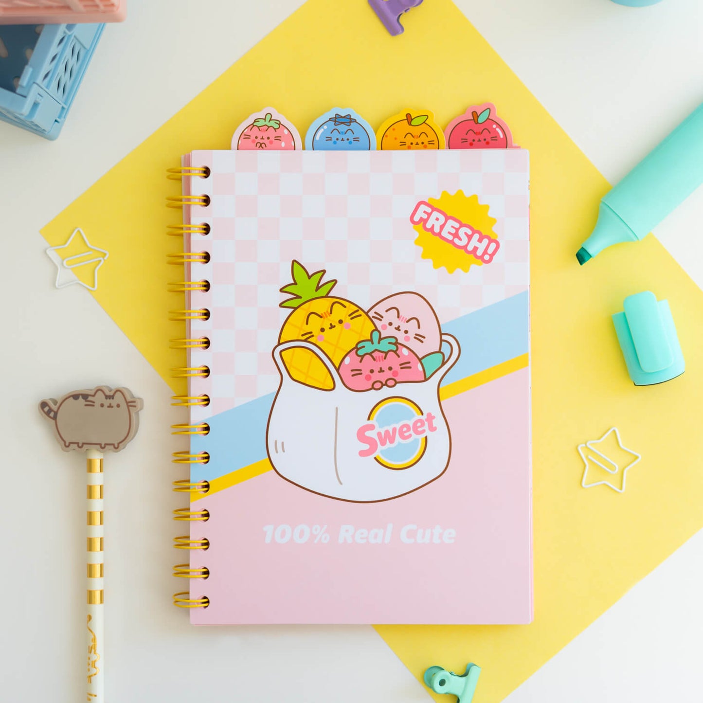 Project Notebook Pusheen Fruits