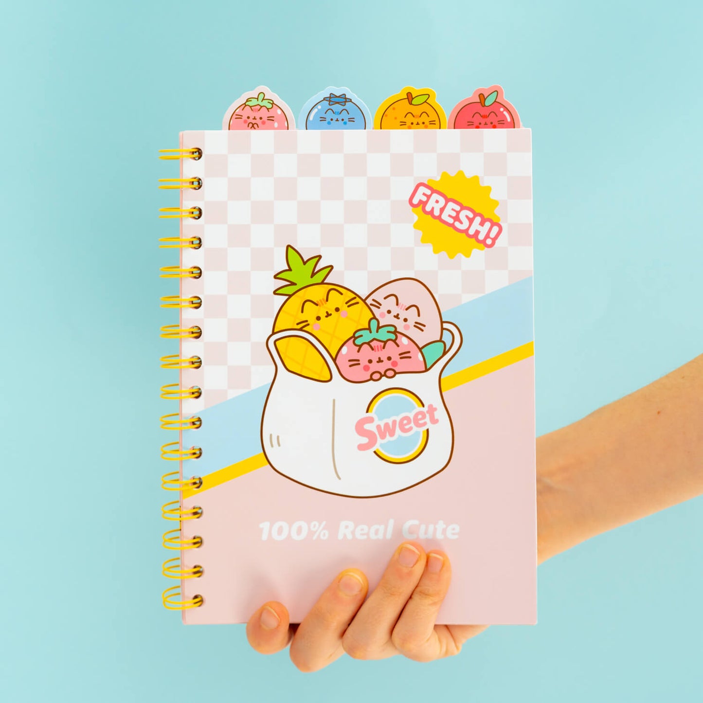 Project Notebook Pusheen Fruits
