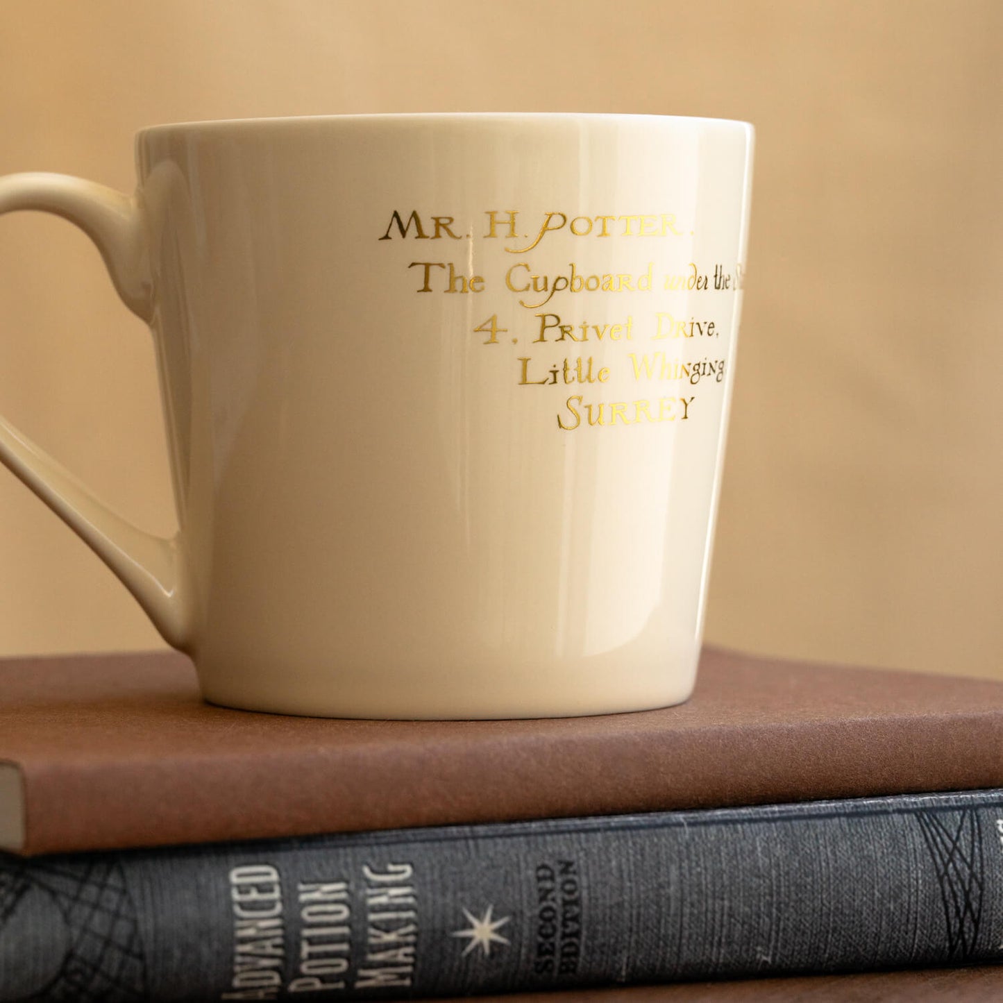 Taza Harry Potter Hedwig