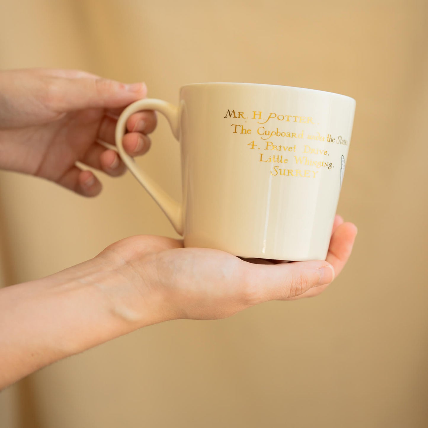 Taza Harry Potter Hedwig